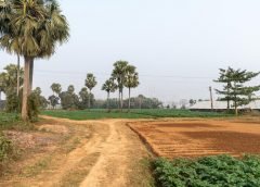 bengal and weather 7