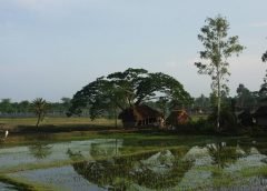 rural and area
