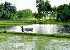 rural and villege