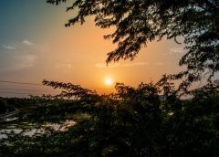 sun and weather