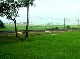 weather and rural bengal