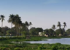 weather and village5