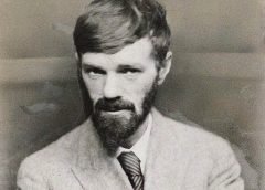 David H