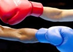 Jardan Boxing-1