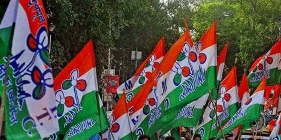 TMC_flag_Trinamool_flag