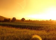 heat and weather