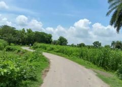 village and change