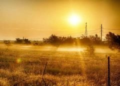 weather and bengal2