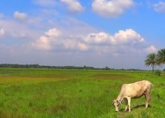weather and hot