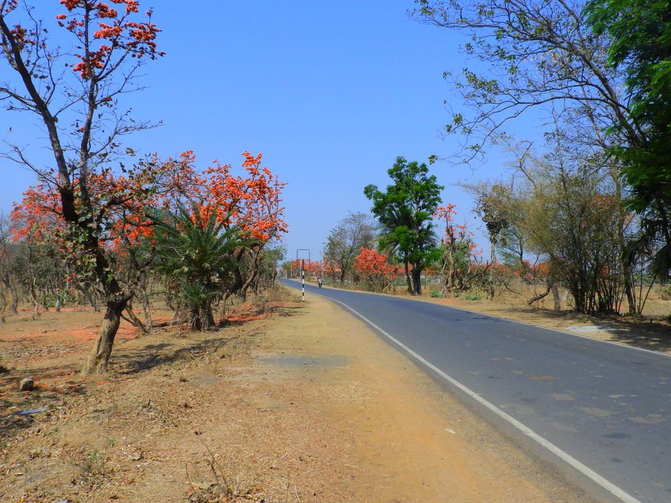 weather and palash flower