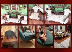 Suchitra Furniture