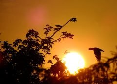 Sunset-1