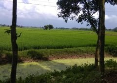 agriculture and weather