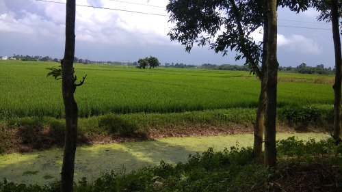 agriculture and weather