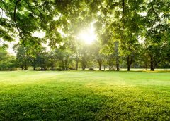 sun and weather report