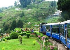 turist and north bengal7