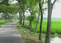 weather and heat