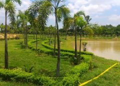 eco park