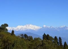 kanchanjongha