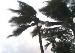 rain and weather today