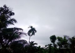 sky and weather report
