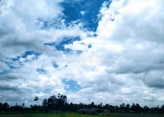 weather