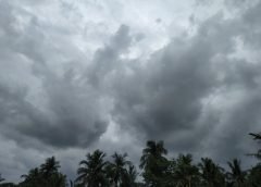 weather and forcast