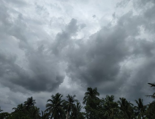 weather and forcast