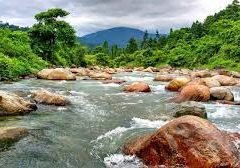 11 june and north bengal