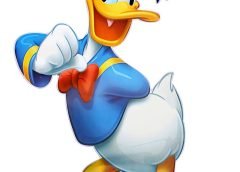 donald duck and memories