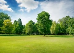 green invironment
