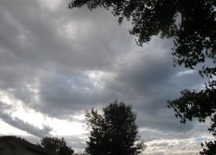 rain and bengal 4 june