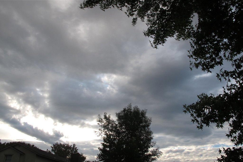 rain and bengal 4 june