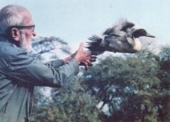 salim ali and memories