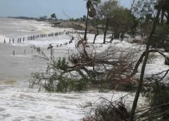 sundarban and disaster