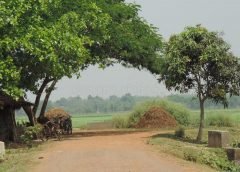 weather and 14 june