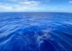world oceans and day