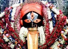 bipotarini pujo and kalighat
