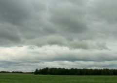 weather 12 july