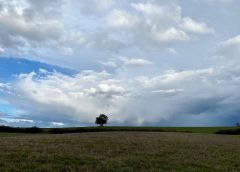 weather 9 july