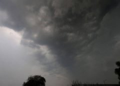 weather and 15 july