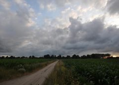 weather and 18 july