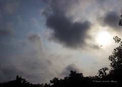 weather and 30 july