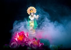 krishna and janmastami