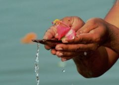 mahalaya and tarpon
