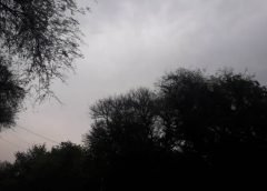 weather and 29 september