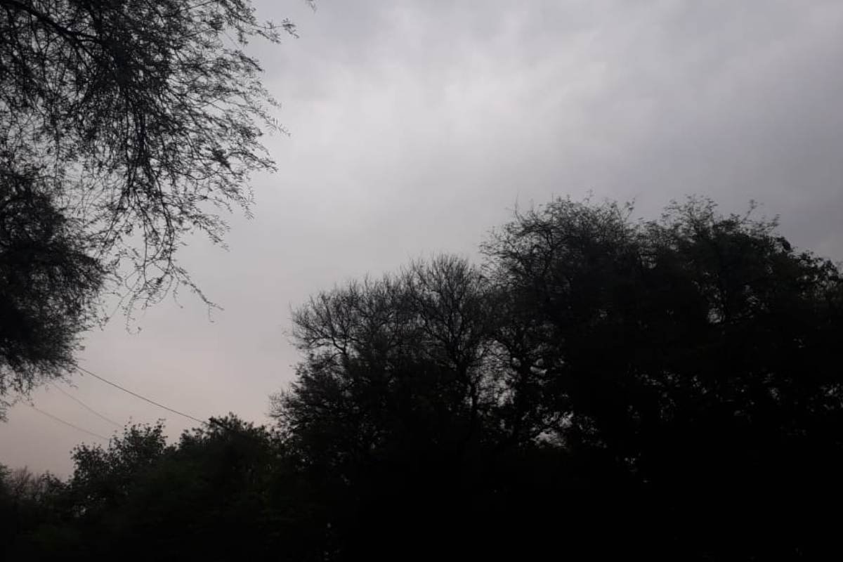 weather and 29 september