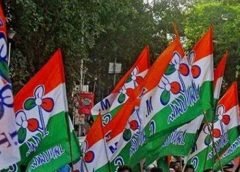 TMC_flag_Trinamool_flag