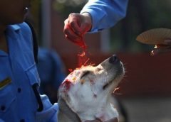 tihar and nepal