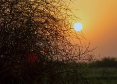 sunset and 28 november